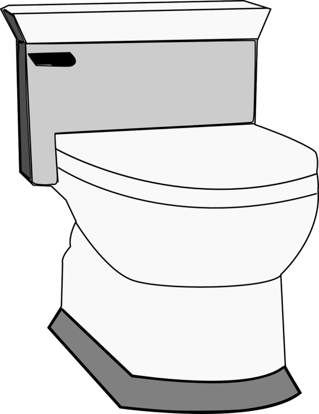 toilet