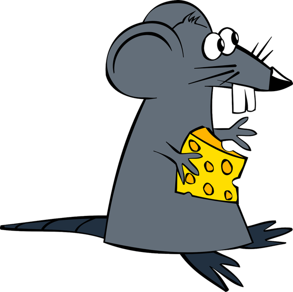 rat-152162_1280.png